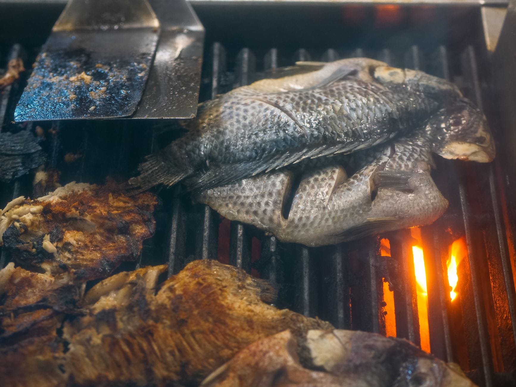 Świeża tilapia pieczona na grillu węglowym z bliska